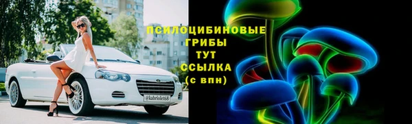 прущие грибы Алексеевка