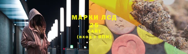 прущие грибы Алексеевка