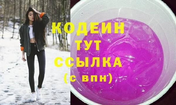 соль ск Алзамай