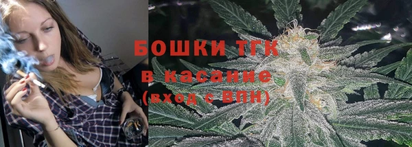 дживик Осташков
