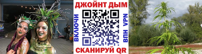Шишки марихуана Ganja  купить наркоту  Белореченск 